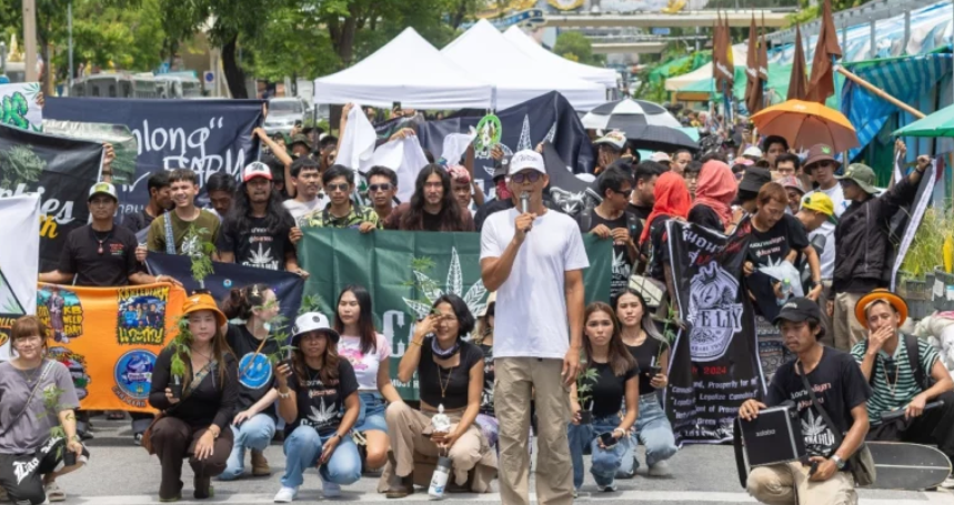 Kelompok Pro-Ganja Mogok Makan 10 Hari, Minta Ganja Tetap Legal di Thailand